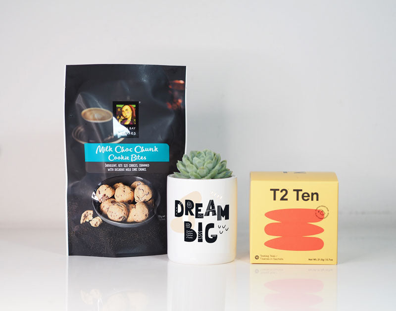 Dream Big – Motivational Succulent Gift Box