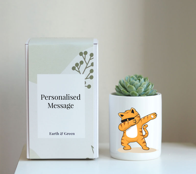 Dabbing Cat – Personalisable Succulent Gift Box