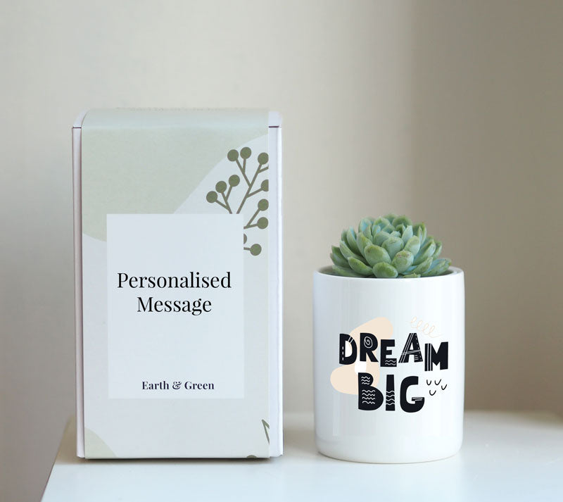 Dream Big – Motivational Succulent Gift Box