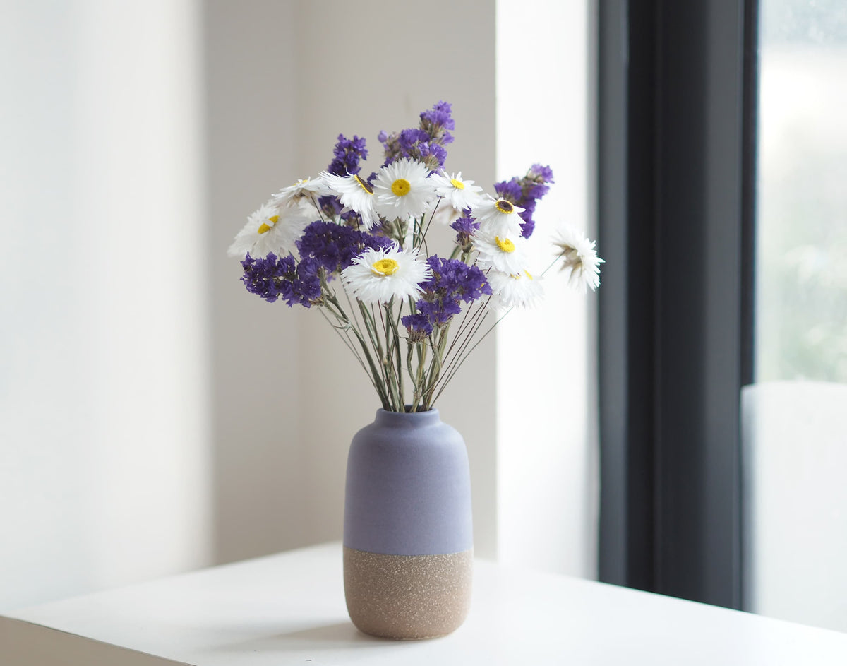 BORA - white dried paper daisies in a purple vase 1