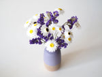 BORA - white dried paper daisies in a purple vase 2