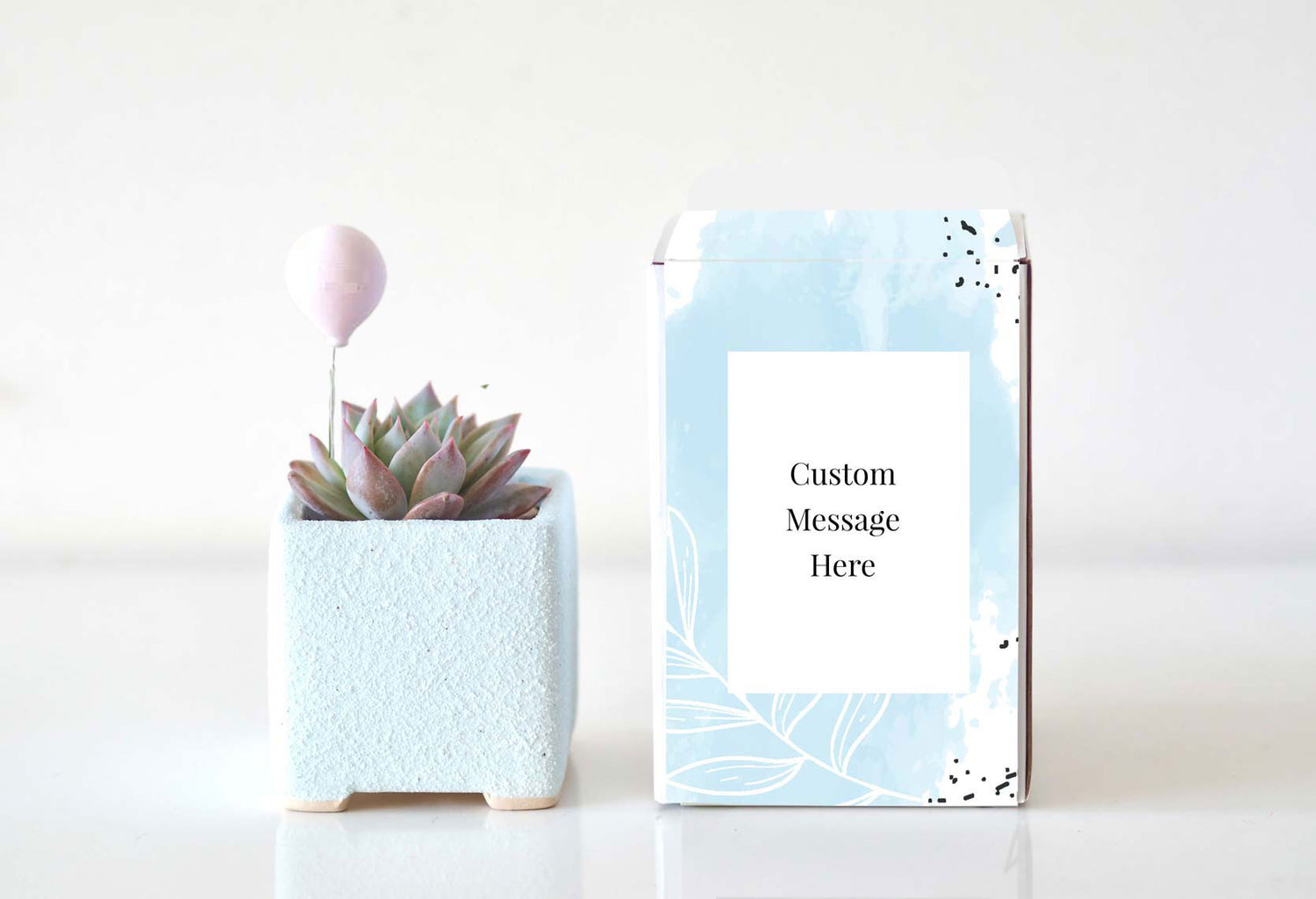 BALLOON - Personalisable Succulent Gift Box