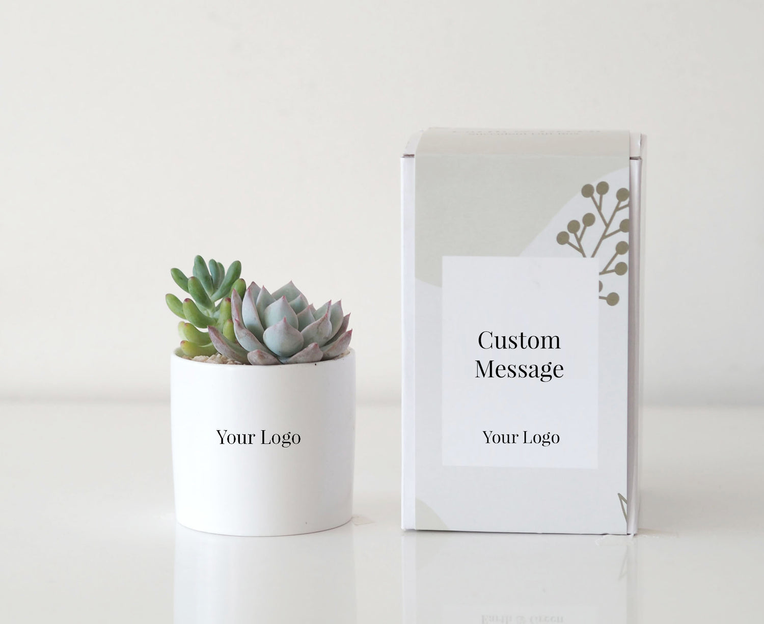 DELIGHT - branded succulent gift box