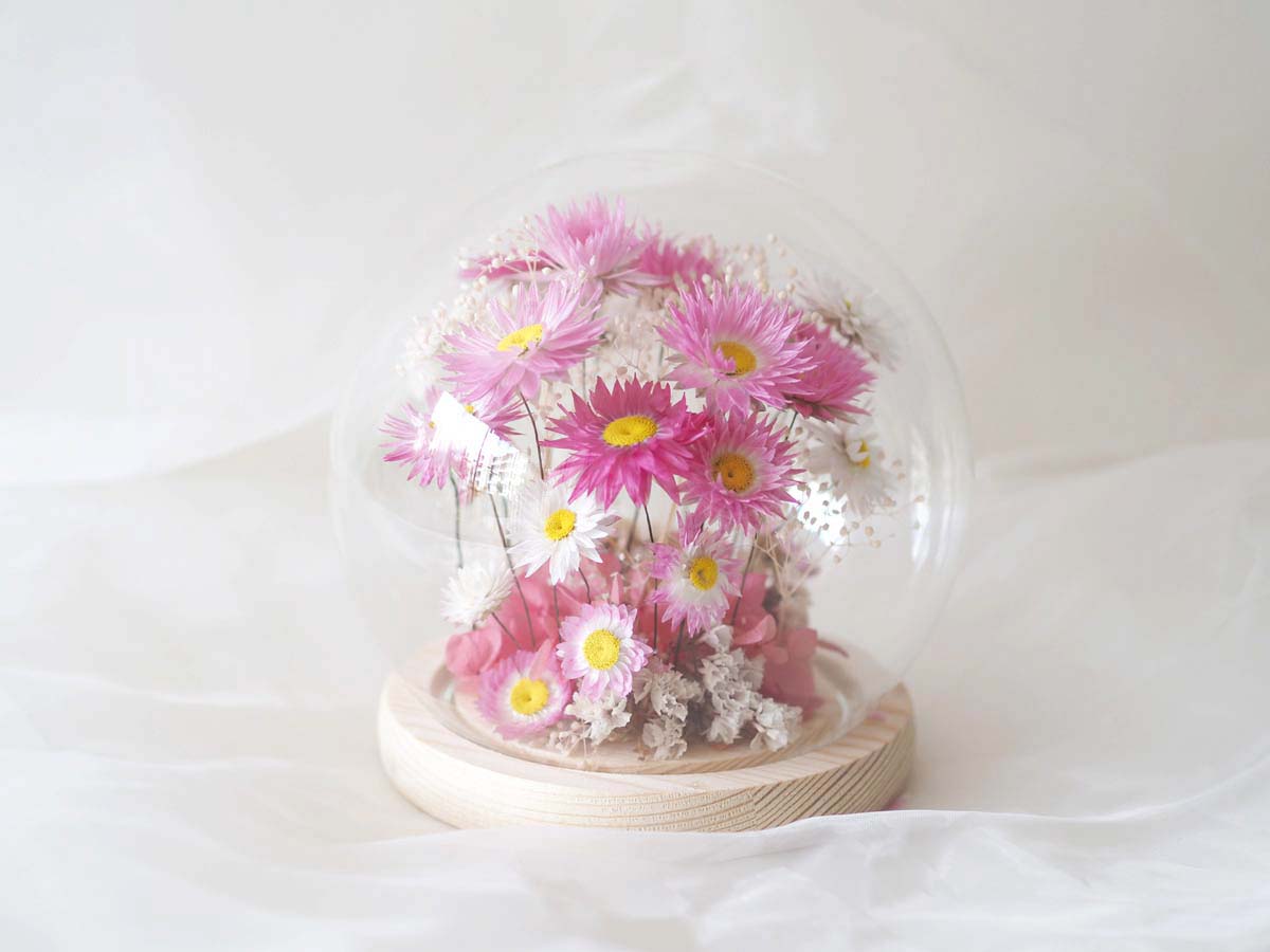 ELAINE - dried clower cloche in pink and white