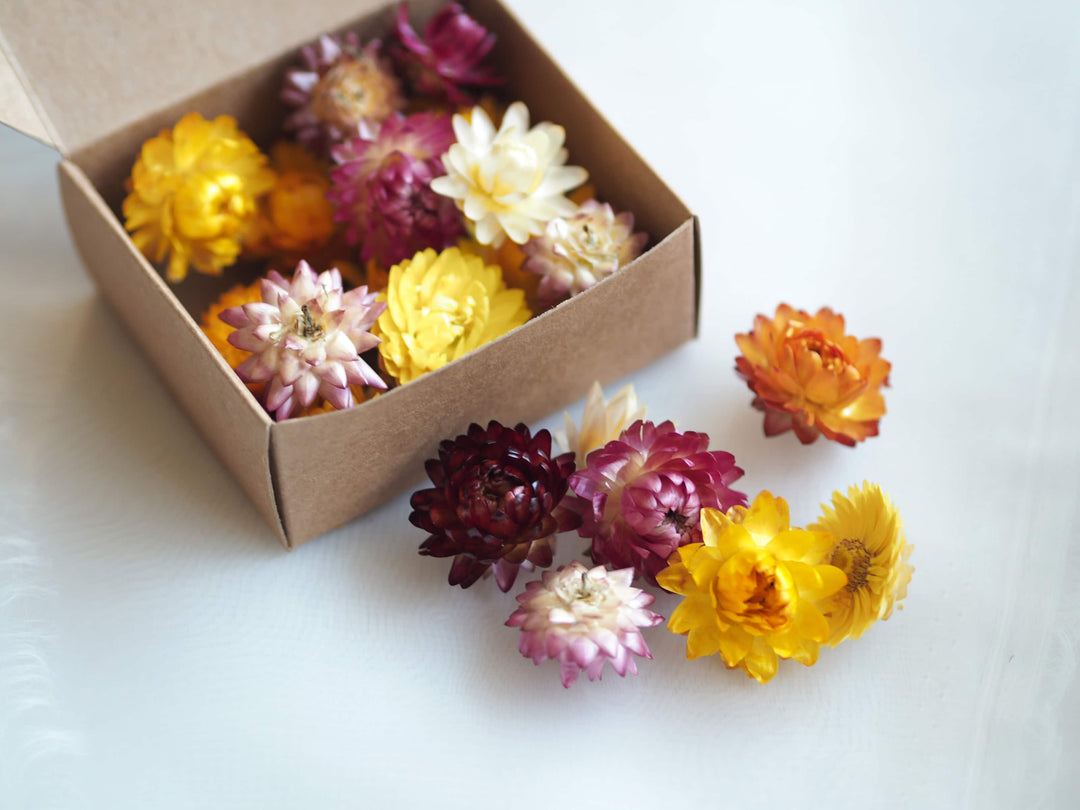 Dried Mixed Colour Strawflower Confetti, Potpourri, Flower Heads