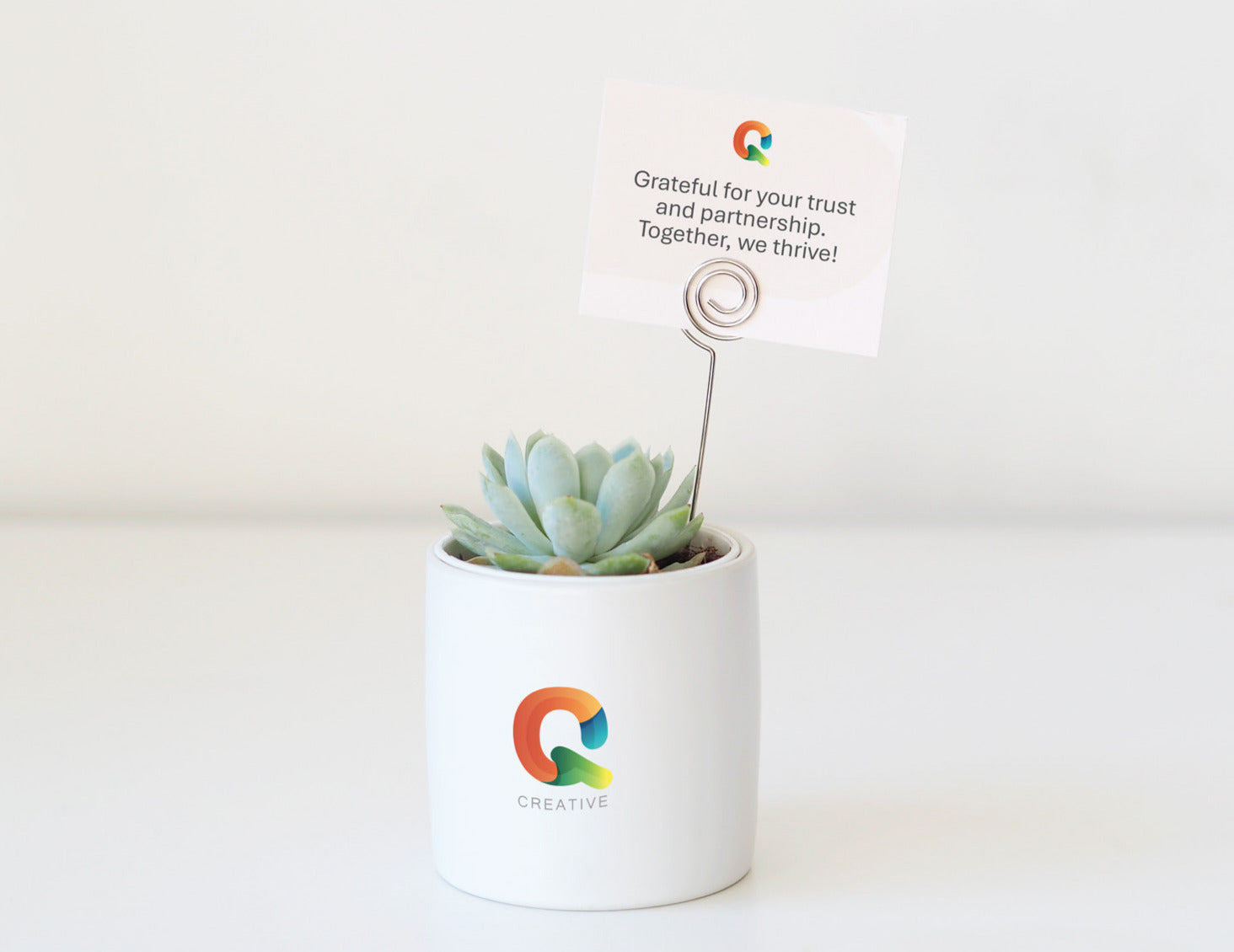 FINN - corporate branded succulent gift with a custom plant tag