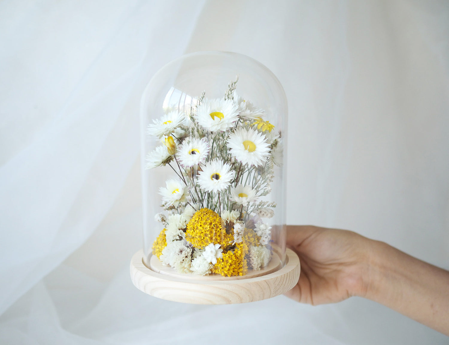 CALLA - dried flower cloche in yellow and white