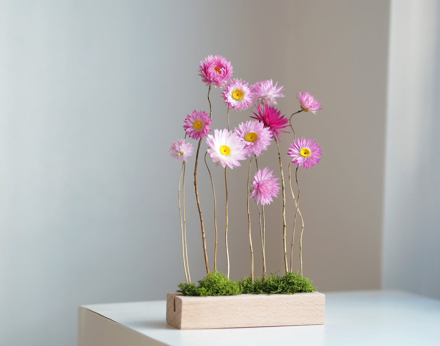 DEIJI - paper daisy floral display ikebana art