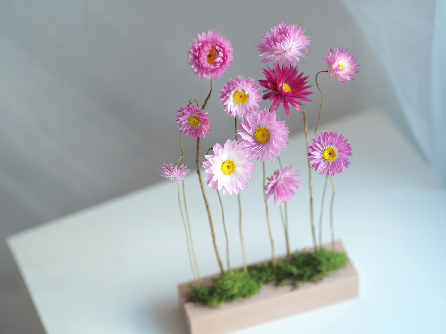 DEIJI - paper daisy floral display ikebana art