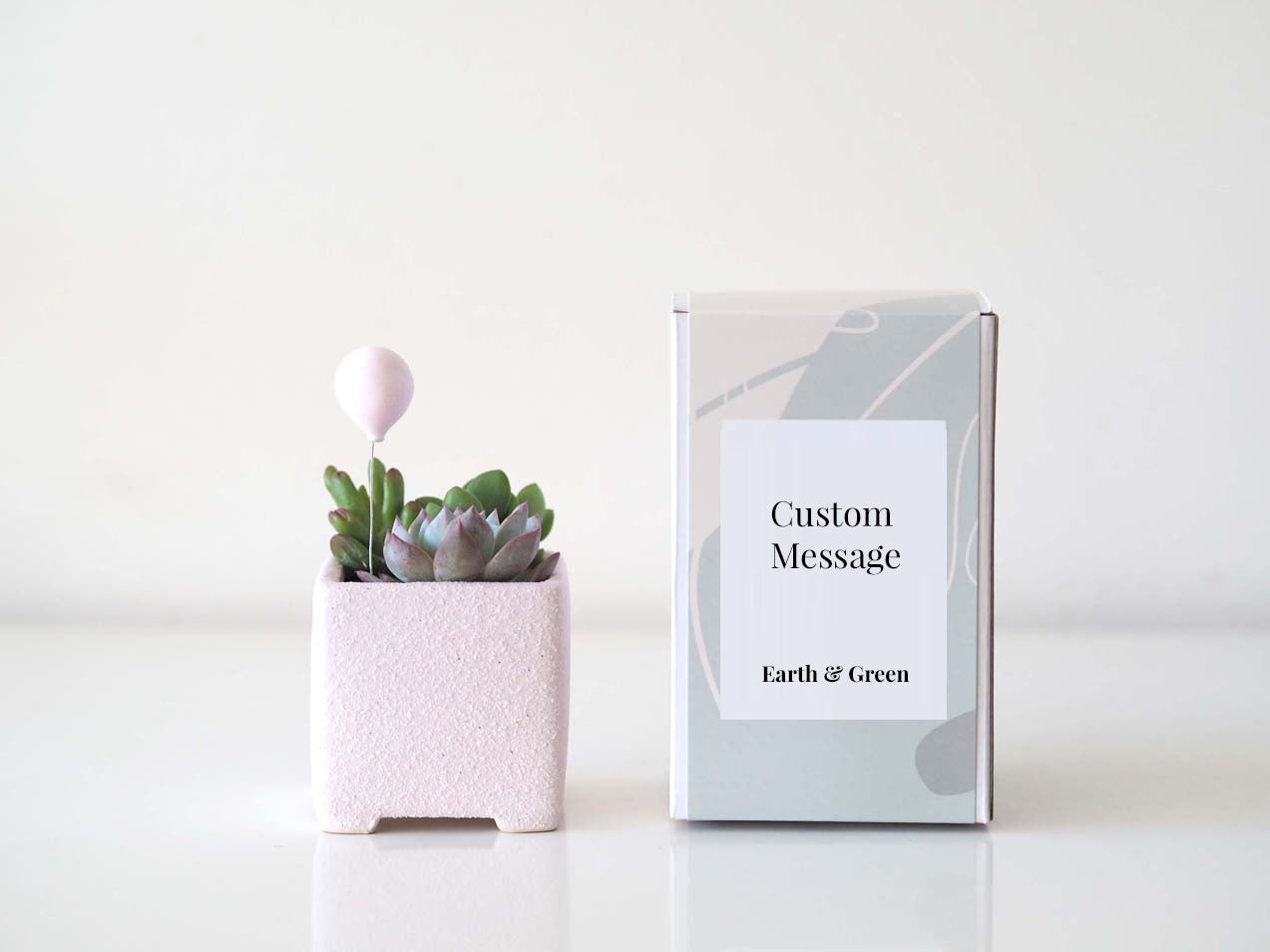 BALLOON - Personalisable Succulent Gift Box