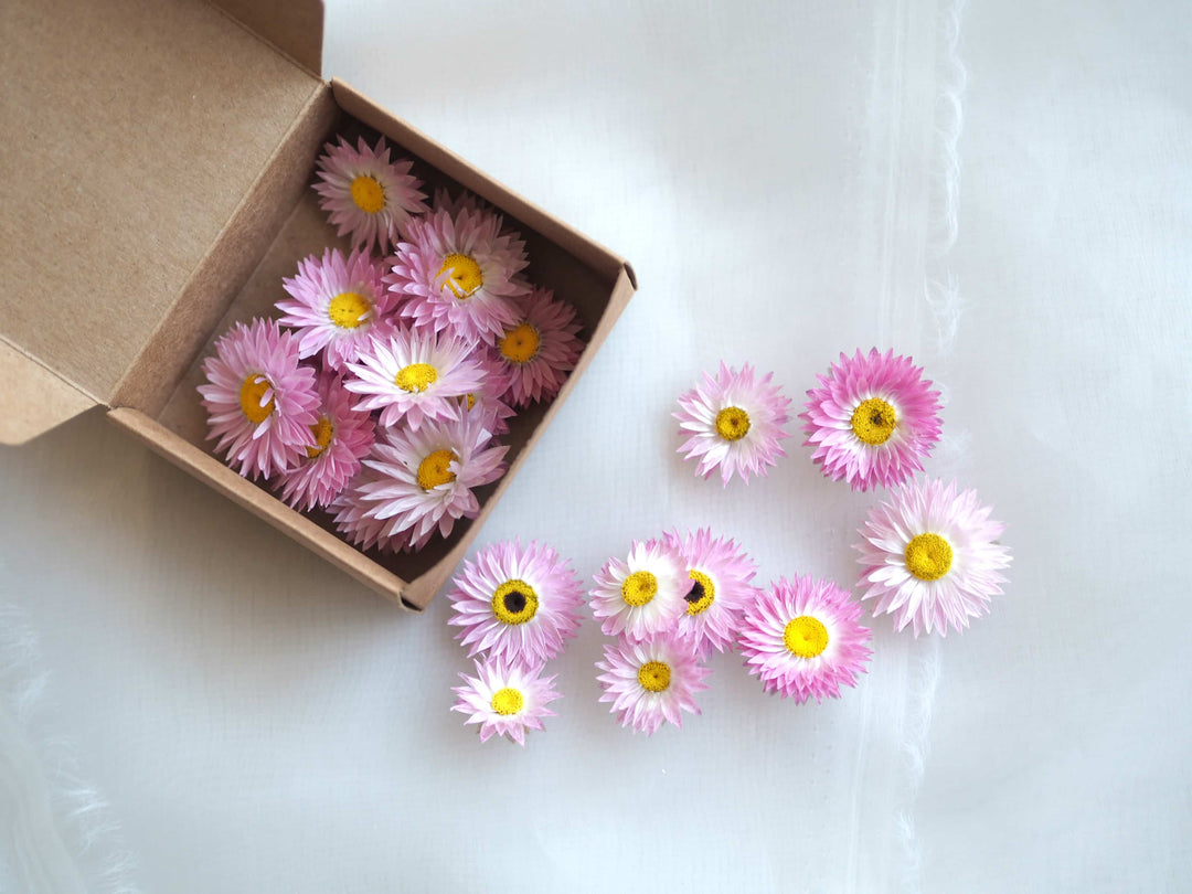 Dried Pink Daisy Flower Confetti, Potpourri, Flower Heads