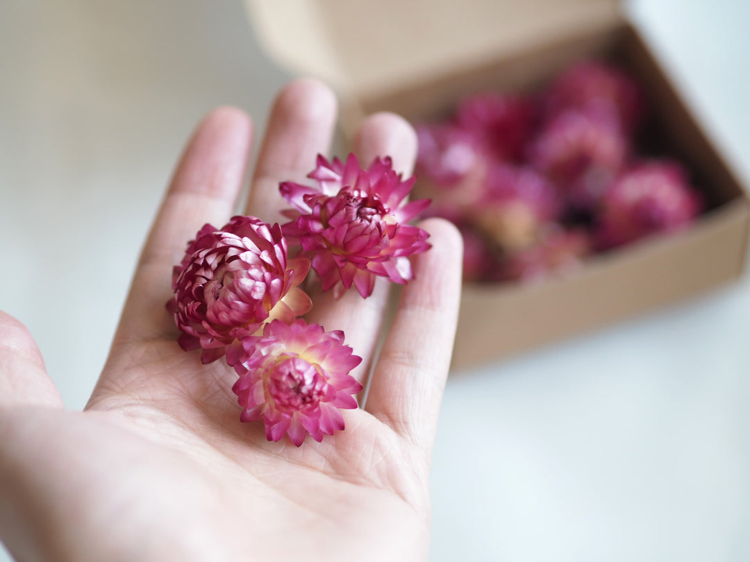 Dried Pink Strawflower Confetti, Potpourri, Flower Heads