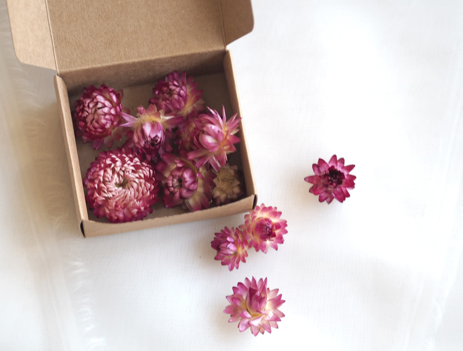 Dried Pink Strawflower Confetti, Potpourri, Flower Heads