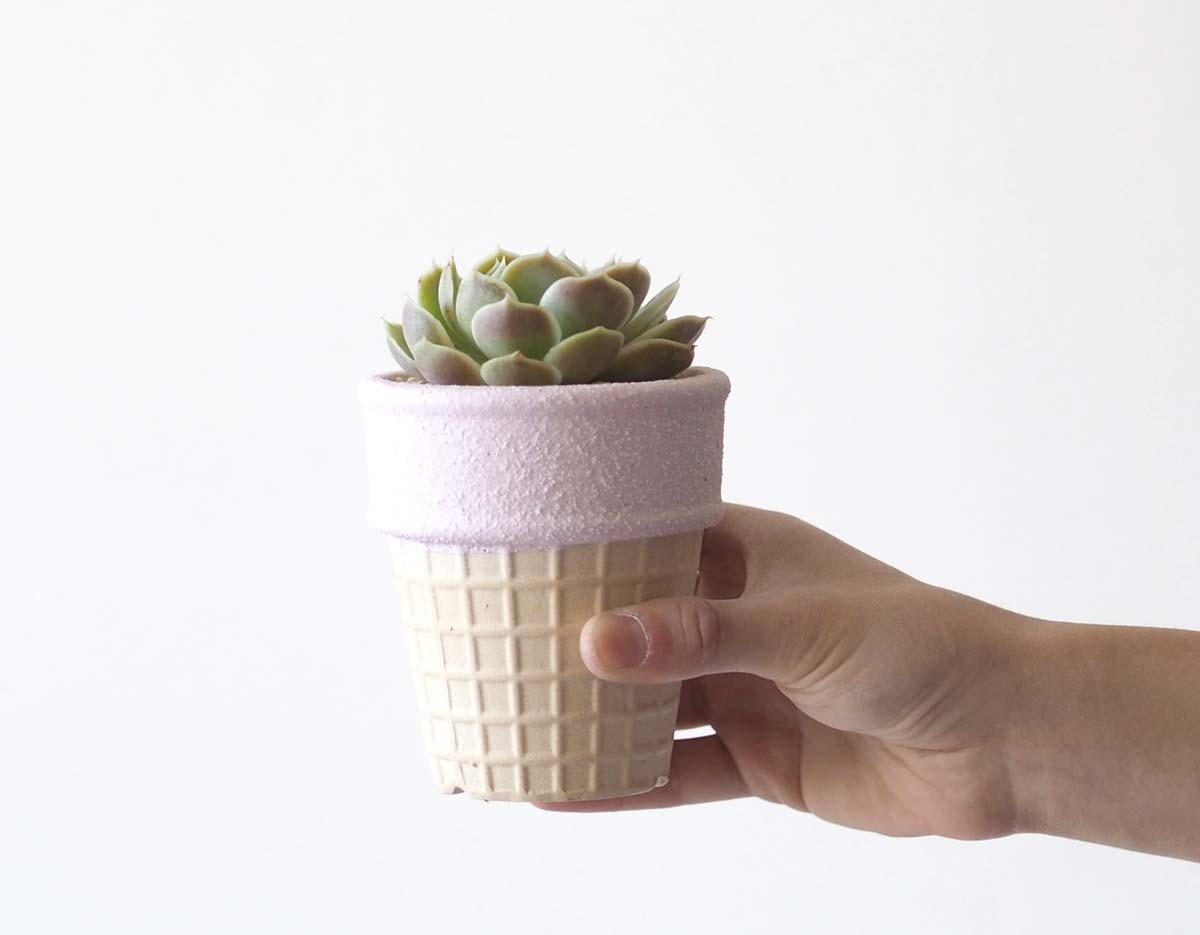 ICECREAM Succulent Pot Set (5 Pots)