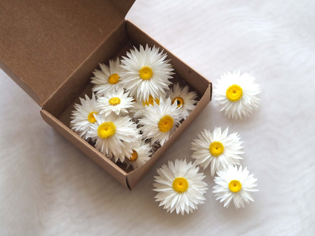 Dried White Daisy Flower Confetti, Potpourri, Flower Heads