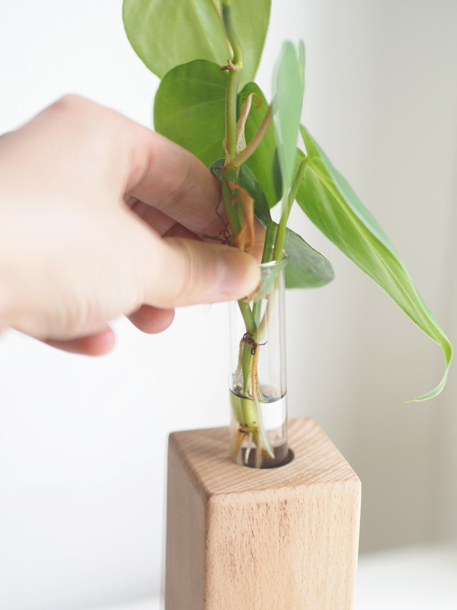 Wooden Bud Vase and Propagation Vessel