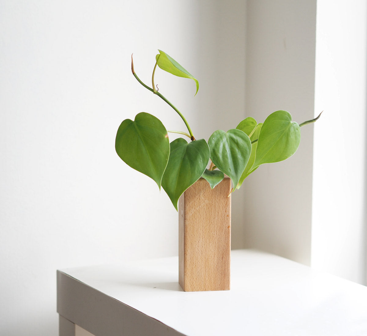 Wooden Bud Vase and Propagation Vessel