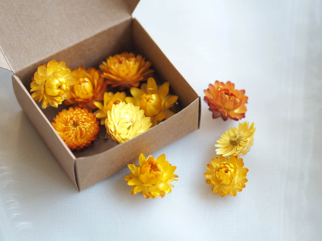 Dried Yellow Strawflower Confetti, Flower Heads