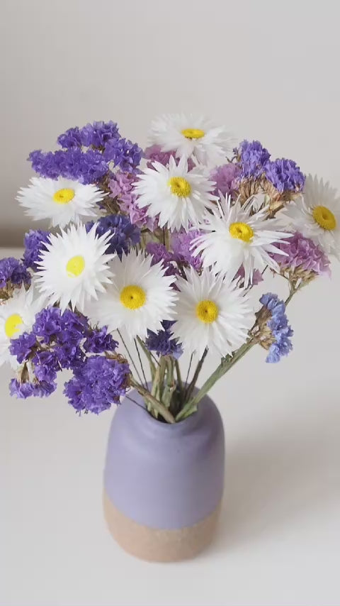 BORA - white dried paper daisies in a purple vase video